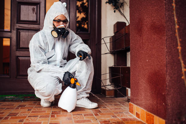 Attic and Crawl Space Rodent Treatment in Combee Settlement
